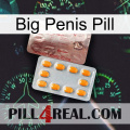 Big Penis Pill new13